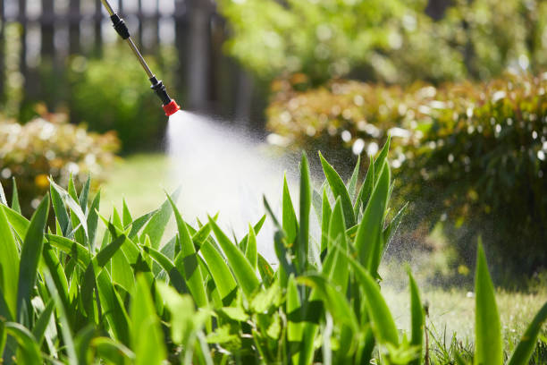 24/7 Emergency Mosquito Control experts in Columbus, MS
