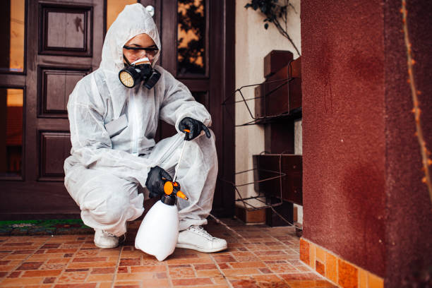 Reliable Mosquito Control contractor in Columbus, MS by Show Me Pest Control