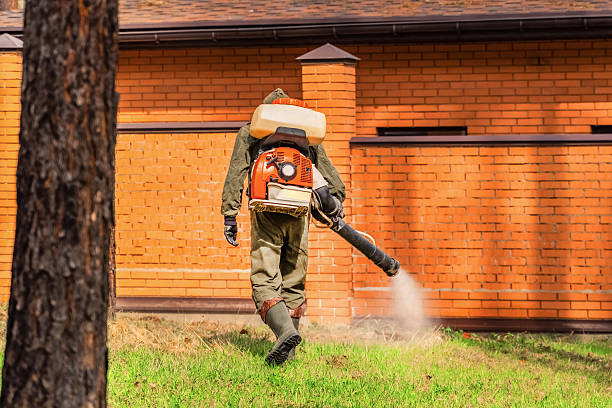 Top rated local Mosquito Control specialists in Columbus, MS